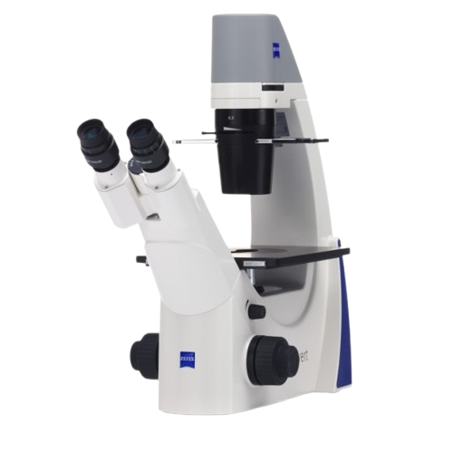 TC Microscope (Zeiss)