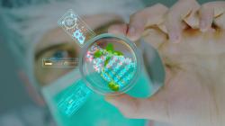 An ancient natural substance from algae will help cure a rare eye disease