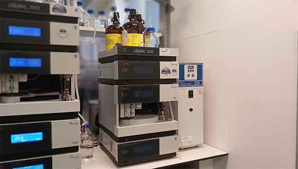 UltiMate™ 3000 Semi-Preparative System