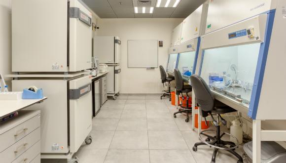 Cell Culture room. Photo: GEEMAPS