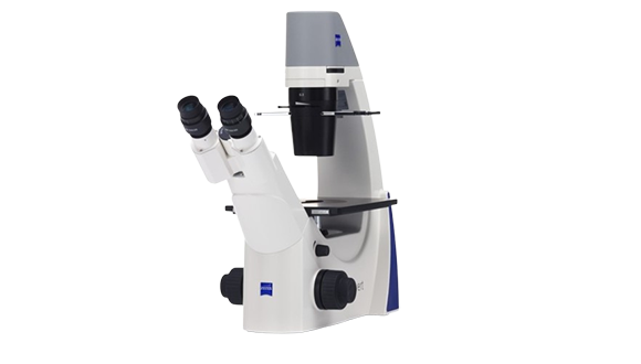 TC Microscope (Zeiss)