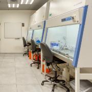 Cell Culture room