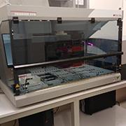 Freedom EVO 200