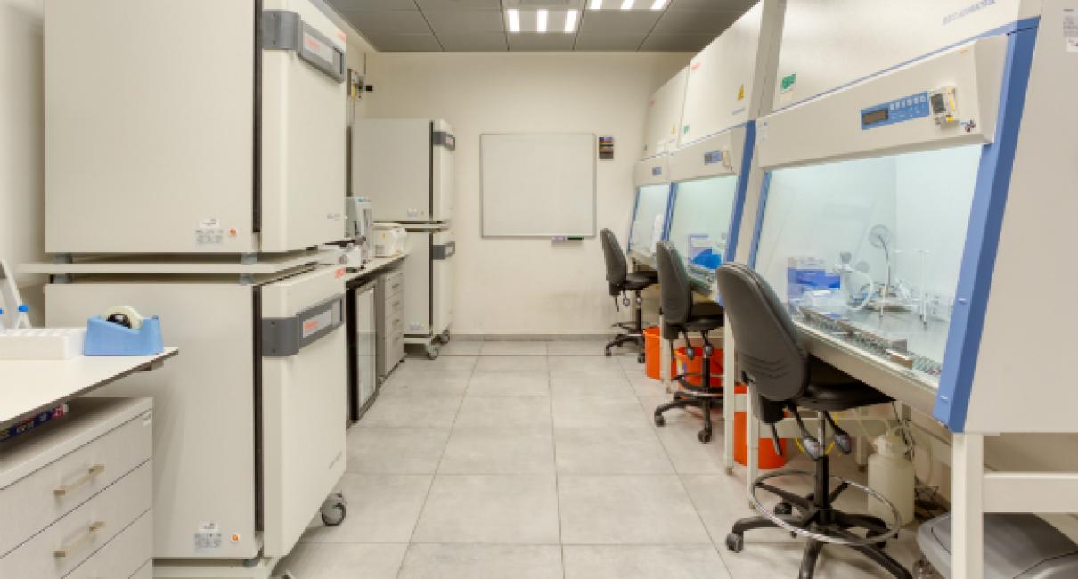 Cell Culture room BLAVATNIK CENTER for Drug Discovery Tel Aviv